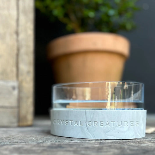 Crystal Creatures Crystal Elixir Pet Water Bowl on a wooden surface with a blurred plant in the background.