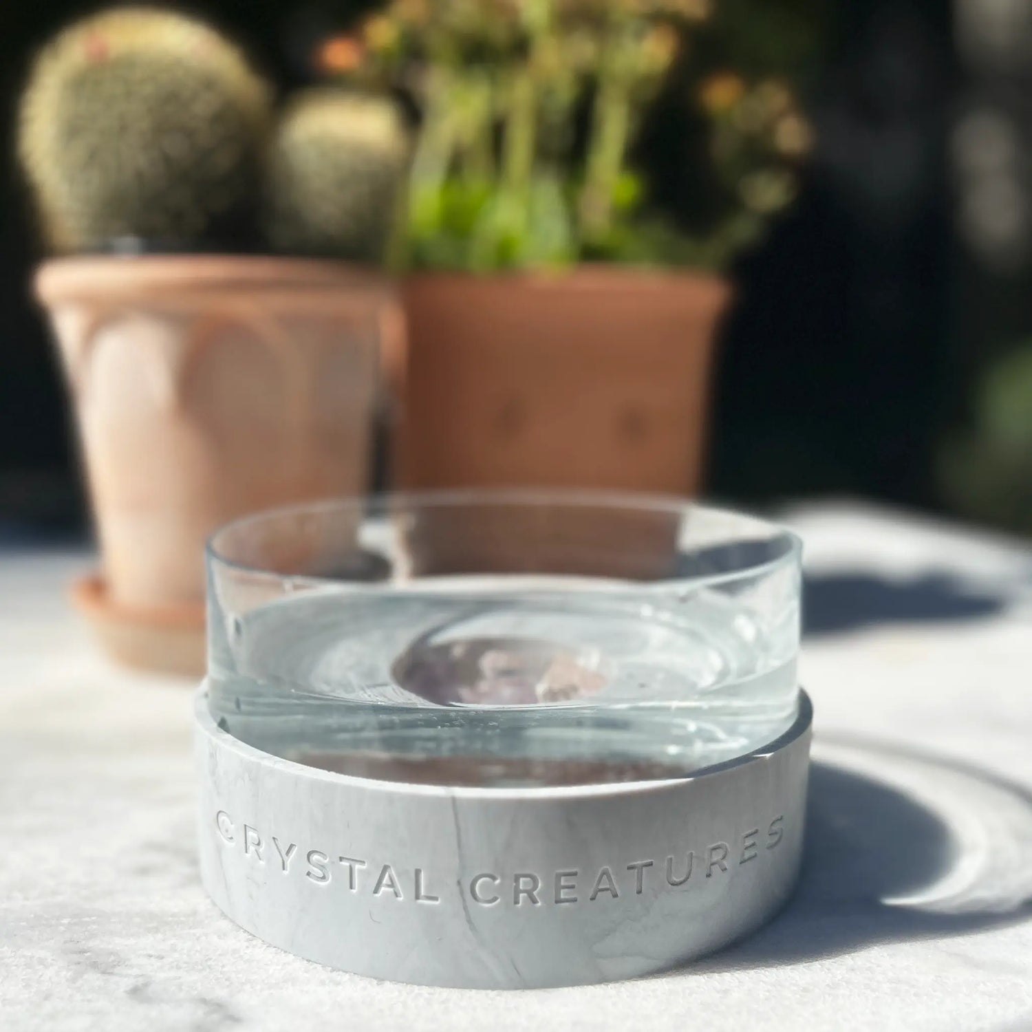 Crystal Elixir Pet Water Bowl on a white surface with plants in the background